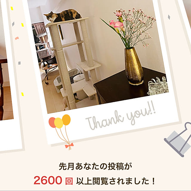 nene6さんの実例写真