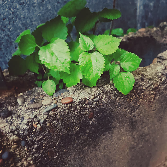 marinkarinさんの部屋