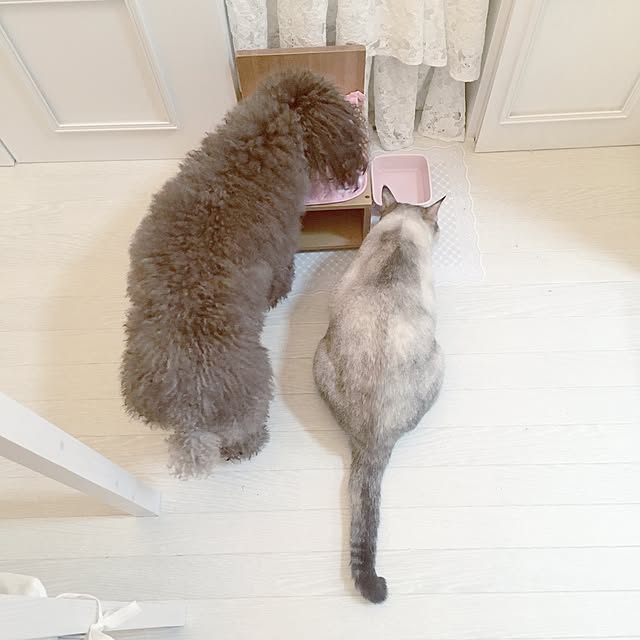noelさんの実例写真