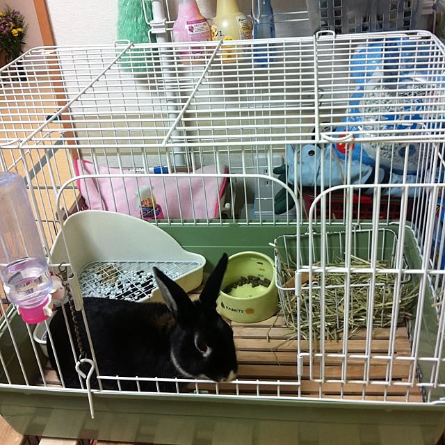 ushioさんの実例写真