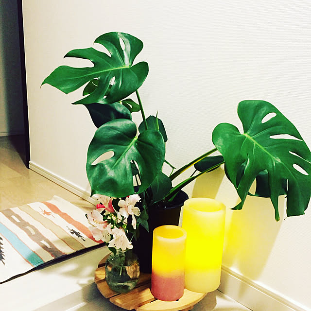 shinoさんの実例写真