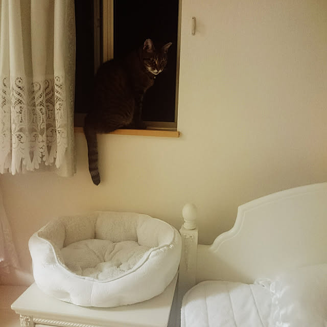 lilyさんの実例写真