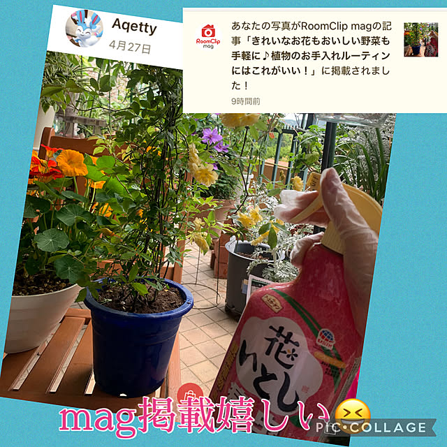 Aqettyさんの実例写真