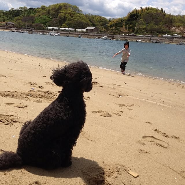 SADAさんの実例写真