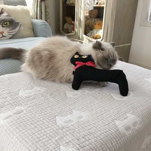 yuchiさんの実例写真