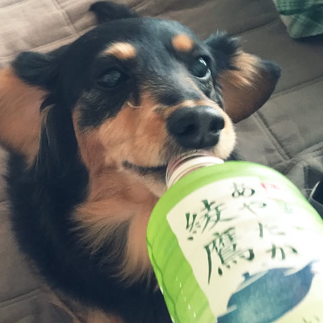 ohanaさんの実例写真