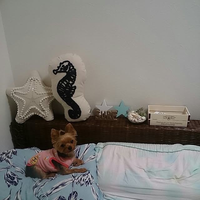 Chiychyaさんの実例写真