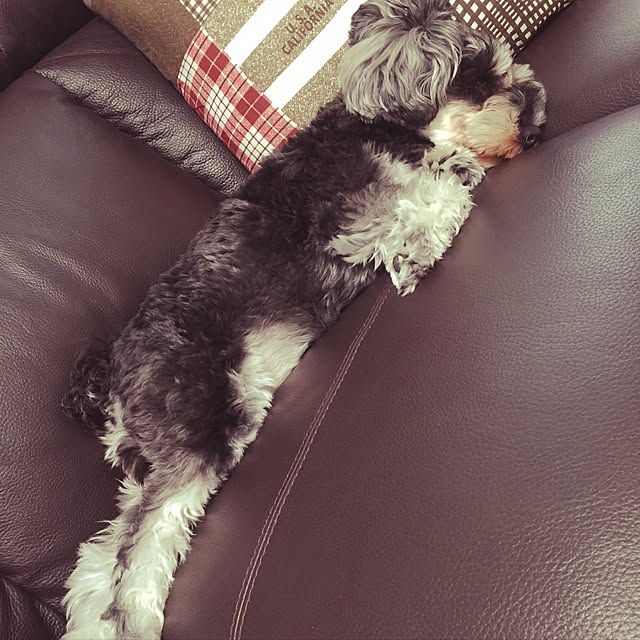 tamaeさんの実例写真