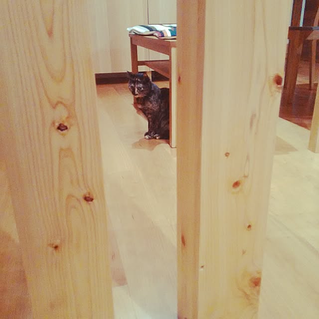 fishing_catさんの実例写真
