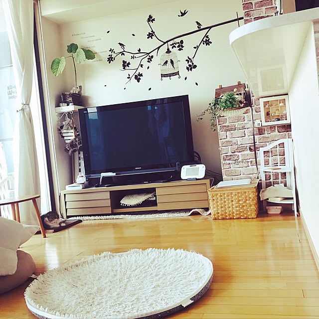 kaede_evoさんの実例写真
