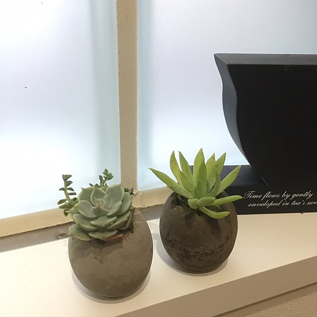 canacoさんの実例写真