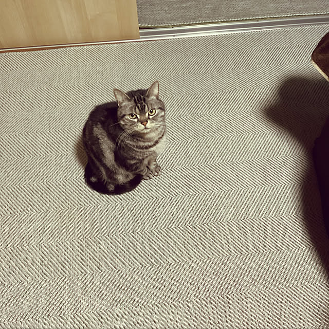 richanさんの実例写真