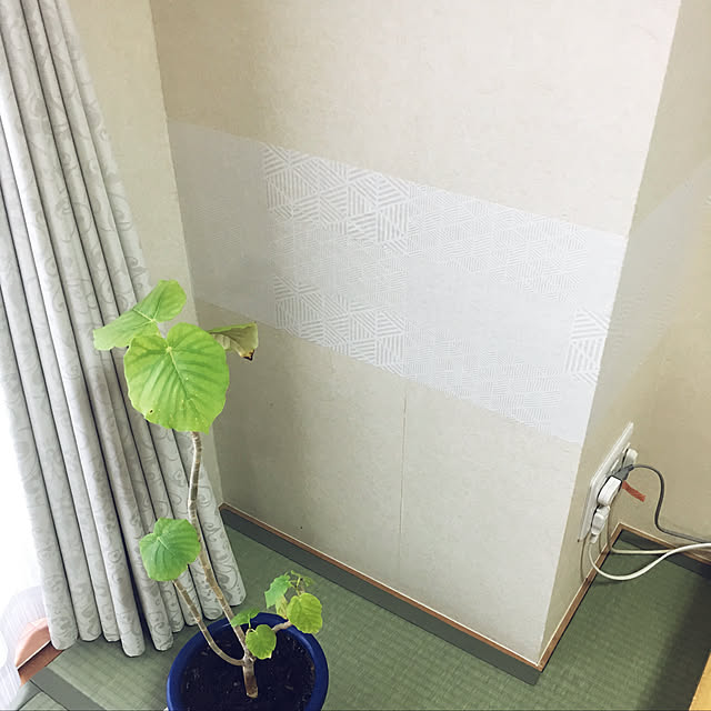 aiiaさんの実例写真