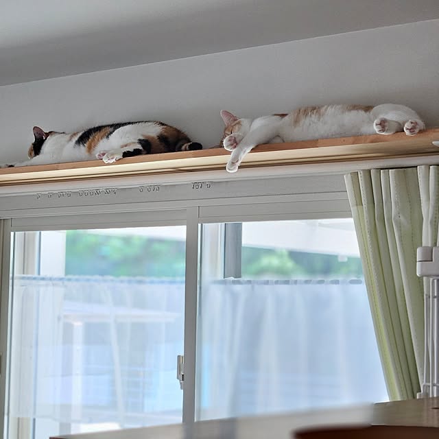 koyurizuさんの部屋