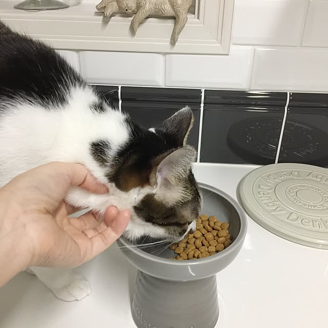 yuchiさんの実例写真