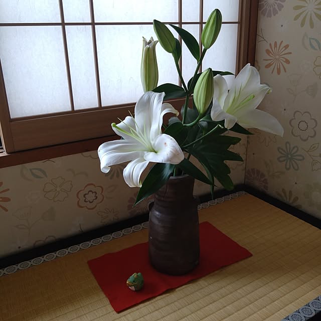 kakkaさんの実例写真
