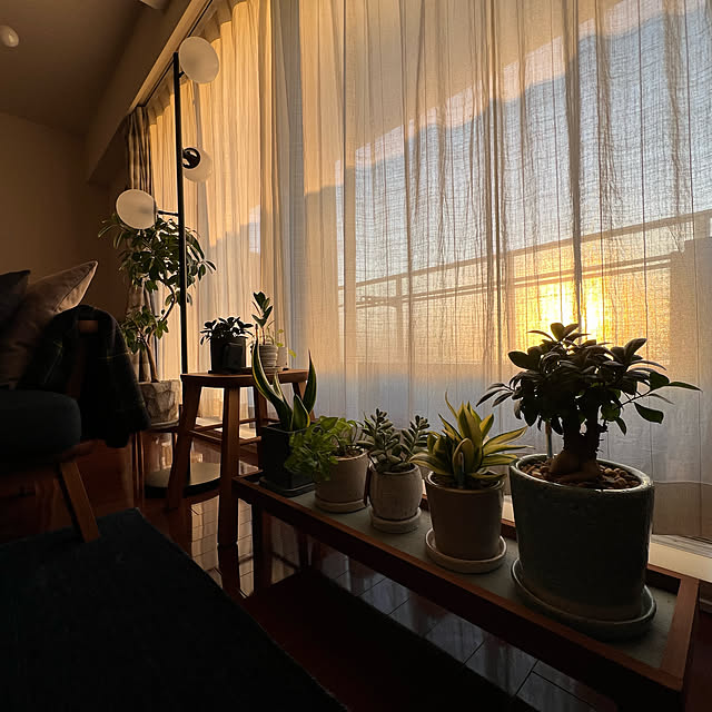 stさんの実例写真