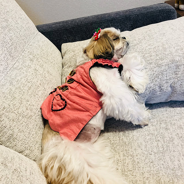 eriさんの実例写真
