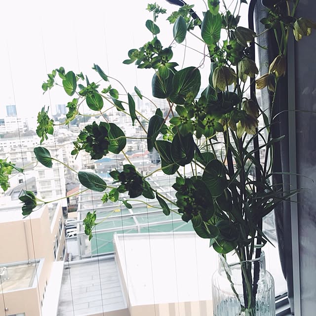 実例写真