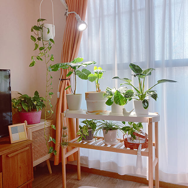yuyuさんの部屋