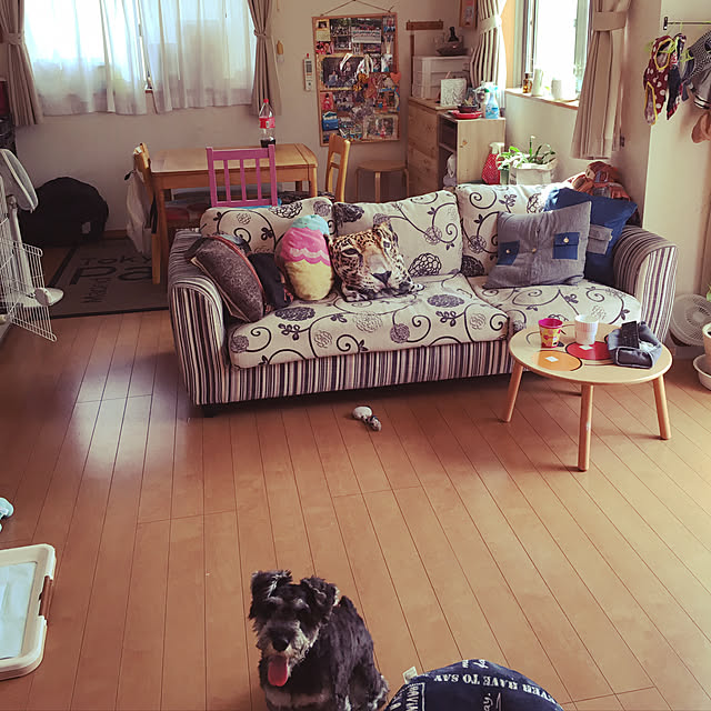 Mikaさんの実例写真