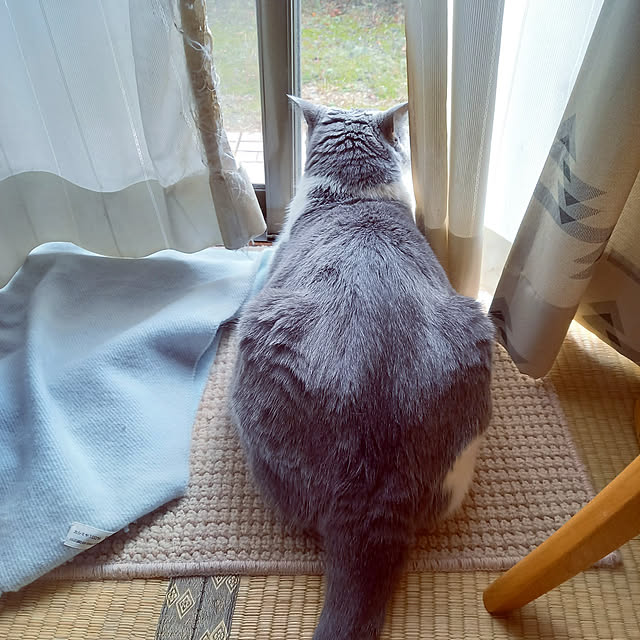 rhuさんの実例写真