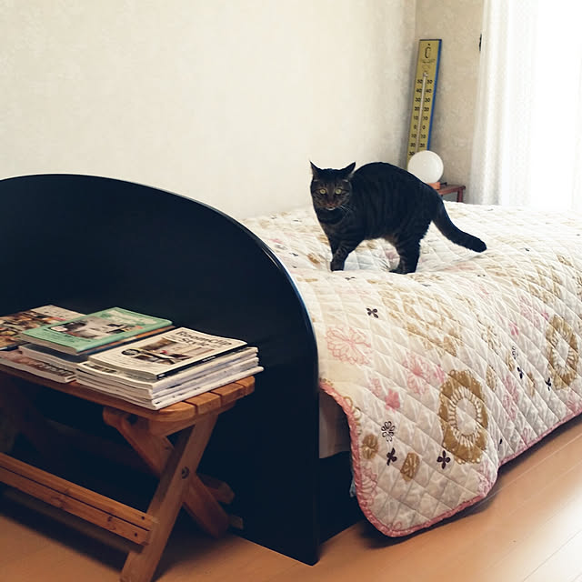 Mayumi8888さんの実例写真