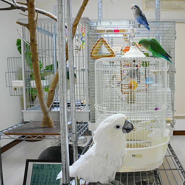aromameさんの実例写真