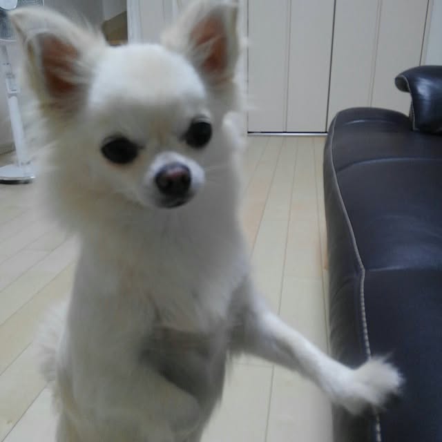 okuriさんの実例写真