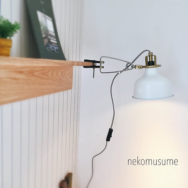 nekomusumeさんの実例写真