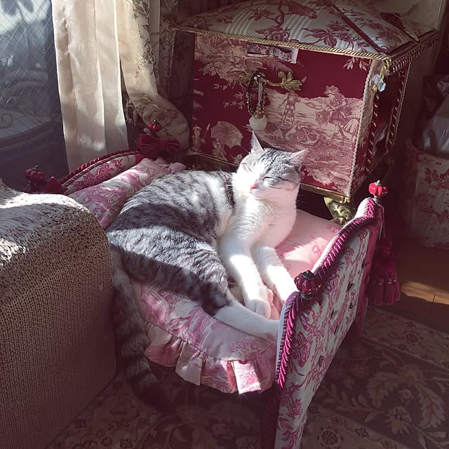 emmyyさんの実例写真