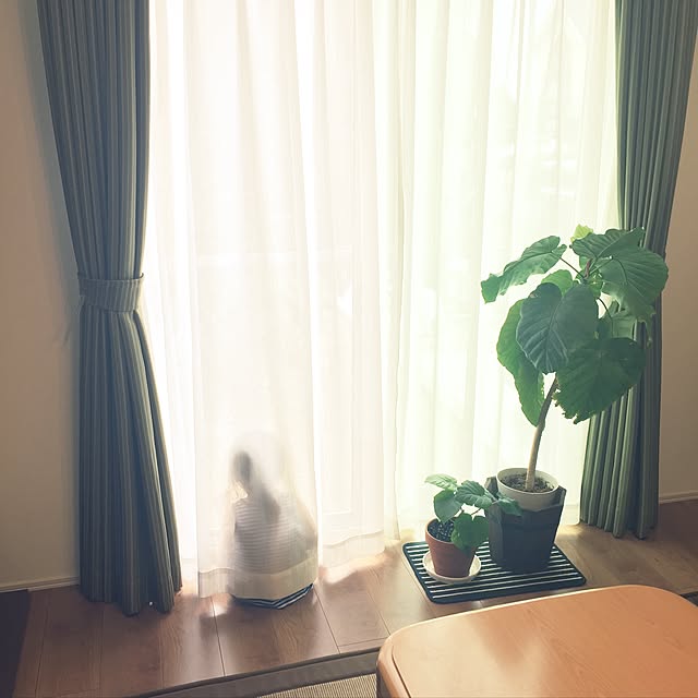 riaさんの実例写真