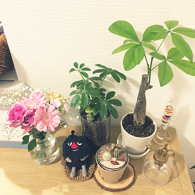 実例写真