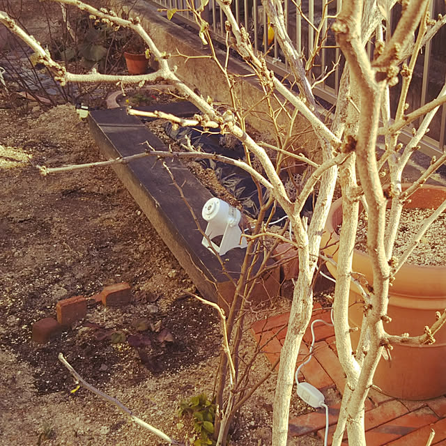 chikohiroさんの実例写真