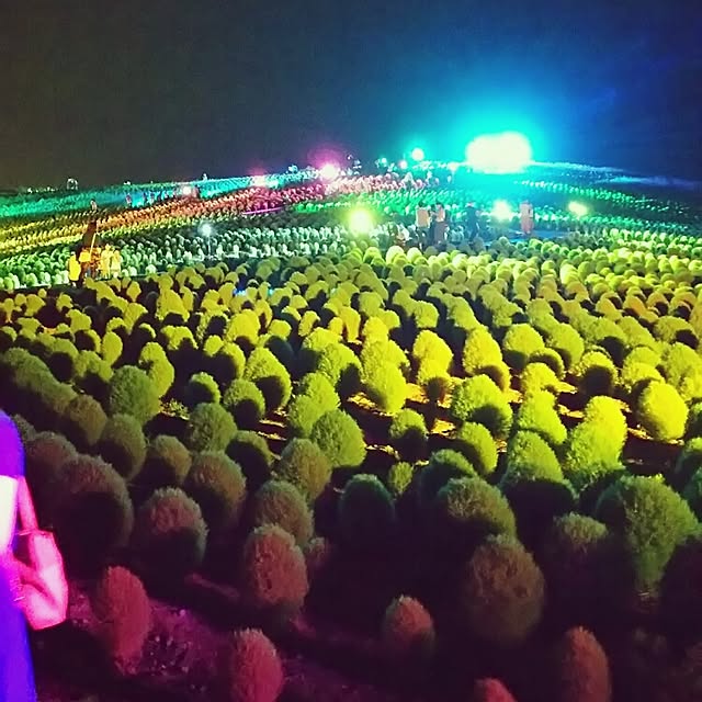 実例写真