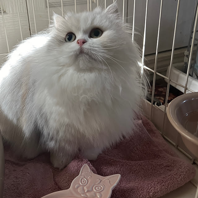 AYUKOさんの実例写真