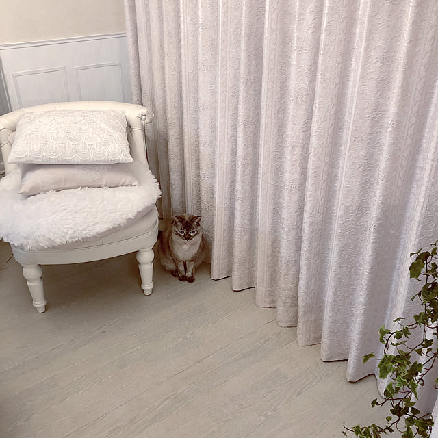 noelさんの実例写真