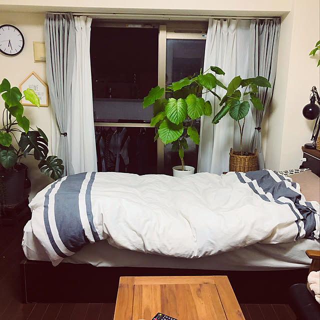 a__y__さんの実例写真