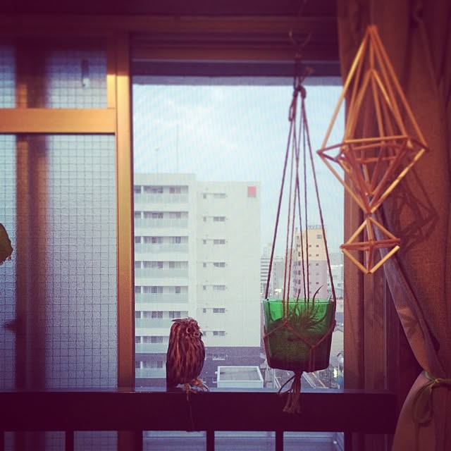 tsuponeさんの実例写真