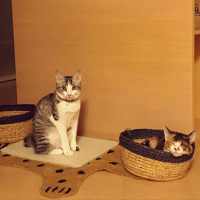 25kさんの実例写真