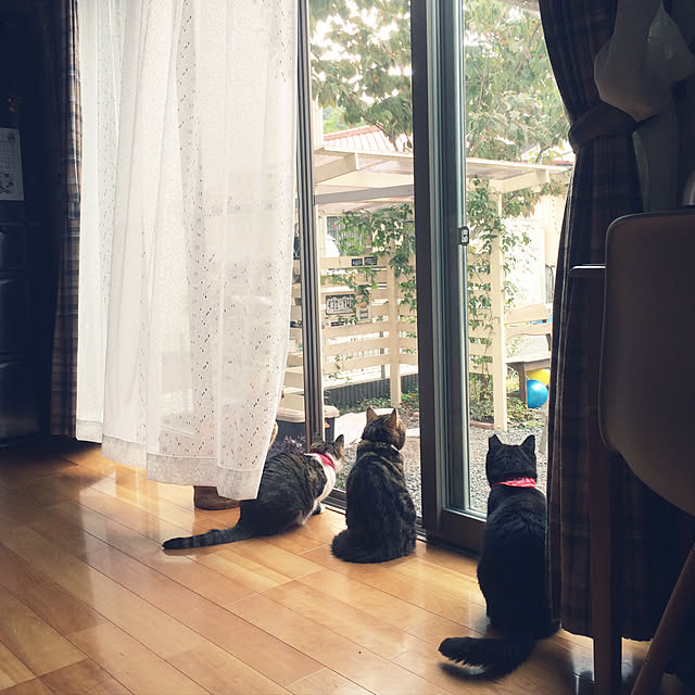 annさんの実例写真