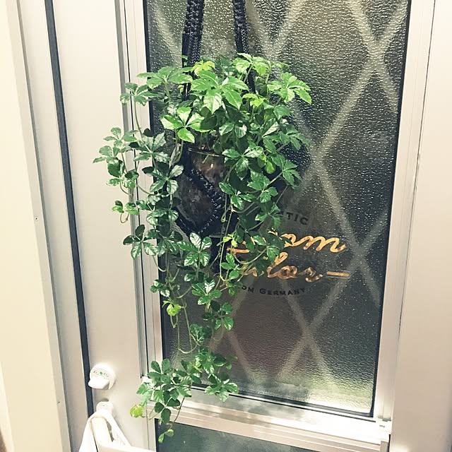 lunamamajunkoさんの実例写真
