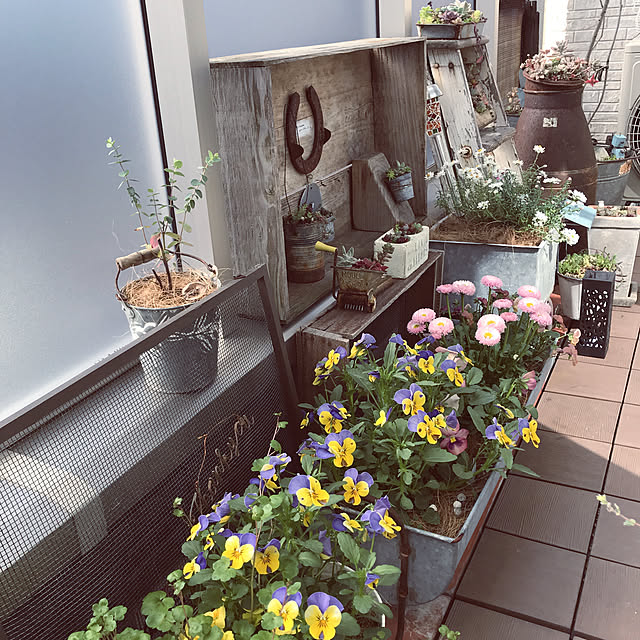 ikukoさんの実例写真
