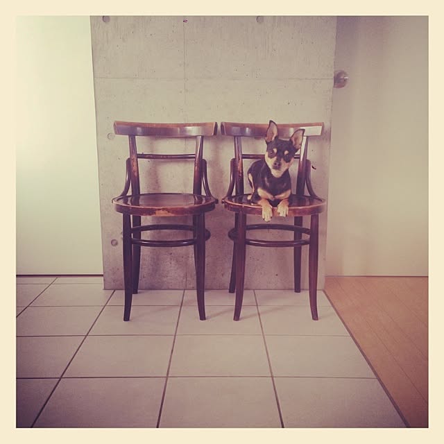 CHIHARUさんの実例写真