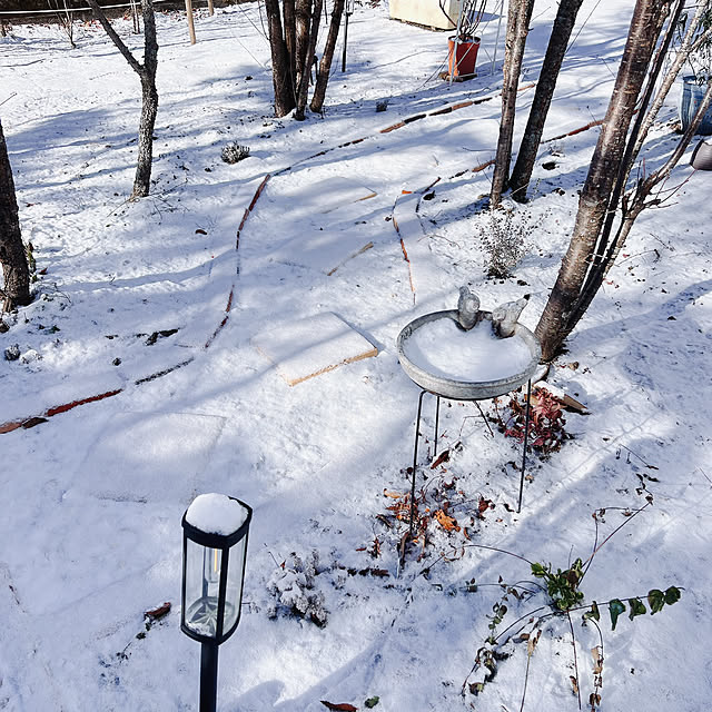 chanduさんの部屋