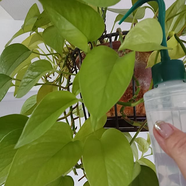 hopkeiさんの実例写真