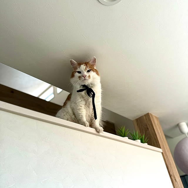 yutaさんの部屋