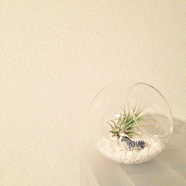 Shokoさんの実例写真