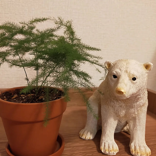 nnk.akさんの実例写真