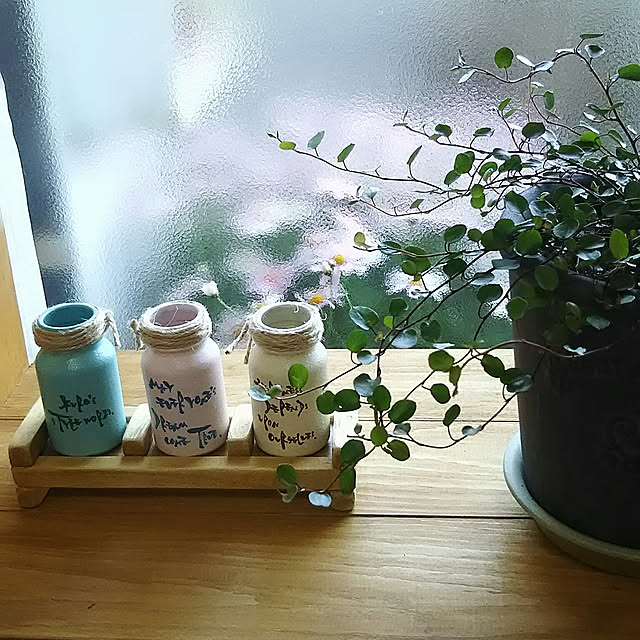 naopyiさんの実例写真